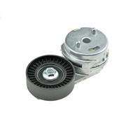 NTY Galoppino/Guidacinghia, Cinghia trapezoidale compatibile con CHRYSLER FORD