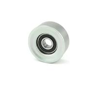 FEBEST 0287-E25 Rullo tenditore cinghia Poly-V Rullo tendicinghia Puleggia tendicinghia Rullo tenditore cinghia