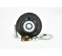 FEBEST Rullo tenditore Cinghia Poly-V 0487-V75