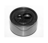 Metalcaucho 05487 Rullo tenditore cinghia Poly-V 50mm per FIAT DUCATO Bus (230)