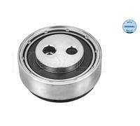MEYLE Rullo tenditore, Cinghia Poly-V compatibile con AUDI SKODA VW 100 009 0015