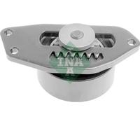 Rullo tenditore cinghia trapezoidale 531 0553 10 INA per CITROËN C15 Familiare