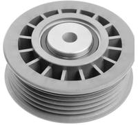 Ina 532 0025 10 Rullo Tenditore Cinghia Poly-V