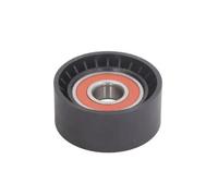 Puleggia folle, cinghia con nervatura a V BTA B05-02-040
