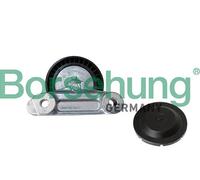 Rullo tenditore cinghia trapezoidale B12202 Borsehung
