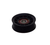 DAYCO APV2598 Galoppino guidacinghia, cinghia Poly-V