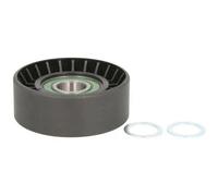 Puleggia tendicinghia, cinghia a V BTA E2B5069BTA