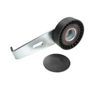 BTA E2C0031BTA Rullo tenditore, Cinghia Poly-V per CITROËN,FIAT,PEUGEOT