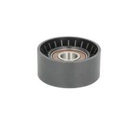 Puleggia tendicinghia, cinghia a V BTA E2F0021BTA