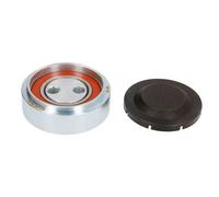 BTA E2W0009BTA Rullo tenditore, Cinghia Poly-V per AUDI,SKODA,VW