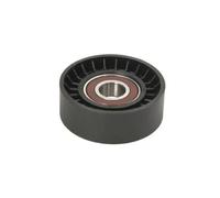 Puleggia tendicinghia, cinghia a V BTA E2Y0003BTA