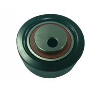 Rullo tenditore, Cinghia Poly-V per CITROËN FIAT LANCIA PEUGEOT SUZUKI 206 206 V