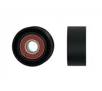 FAST FT44565 Rullo tenditore, Cinghia Poly-V per CITROËN,FIAT,PEUGEOT
