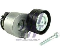 FAST FT44616 Rullo tenditore, Cinghia Poly-V per MITSUBISHI,NISSAN,OPEL,RENAULT,