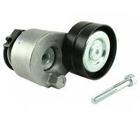 FAST FT44616 Rullo tenditore, Cinghia Poly-V per MITSUBISHI,NISSAN,OPEL,RENAULT,