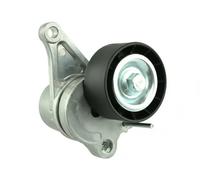 FAST FT44621 Rullo tenditore, Cinghia Poly-V per MERCEDES-BENZ,NISSAN,OPEL,RENAU