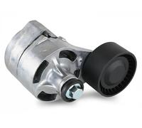 Fast Rullo tenditore cinghia trapezoidale FT44623 per Ford Transit Furgone