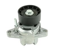 Rullo tenditore cinghia trapezoidale FT44625 FAST per RENAULT KANGOO Express