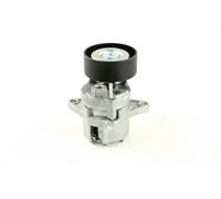 FAST FT44646 Rullo tenditore, Cinghia Poly-V per JEEP,MERCEDES-BENZ