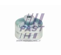 FAST FT44666 Rullo tenditore cinghia Poly-V