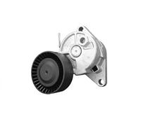 SNR GA350.27 Rullo tenditore cinghia Poly-V