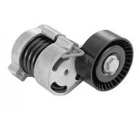SNR GA350.66 Rullo tenditore cinghia Poly-V