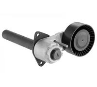 SNR GA350.78 Rullo tenditore cinghia Poly-V
