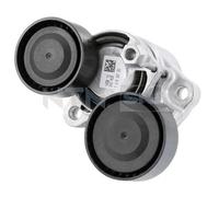 Braccio tenditore, cinghia a V SNR GA350.88