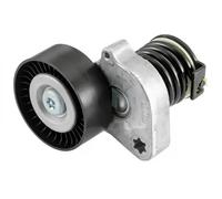SNR GA351.31 Rullo tenditore cinghia Poly-V