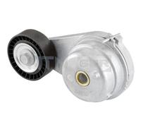 SNR GA351.42 Rullo tenditore cinghia Poly-V