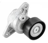 SNR GA351.48 Rullo tenditore cinghia Poly-V