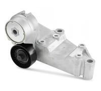 SNR GA352.43 Rullo tenditore cinghia Poly-V