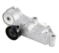 SNR GA352.43 Rullo tenditore cinghia Poly-V