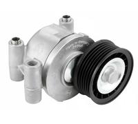 NTN-SNR Rullo tenditore cinghia trapezoidale GA352.46 per Ford, Mazda, Volvo