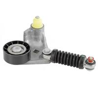 SNR GA352.59 Rullo tenditore cinghia Poly-V
