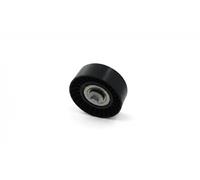 SNR GA352.93 Rullo tenditore cinghia Poly-V