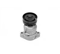 SNR GA353.57 Rullo tenditore cinghia Poly-V