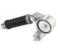 SNR GA355.22 Rullo tenditore cinghia Poly-V