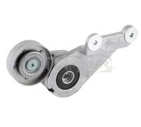 SNR GA355.23 Rullo tenditore cinghia Poly-V