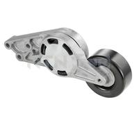 SNR GA357.19 Rullo tenditore cinghia Poly-V