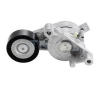 SNR GA357.22 Rullo tenditore cinghia Poly-V