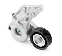 SNR GA357.30 Rullo tenditore cinghia Poly-V