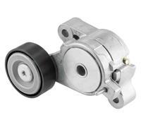 SNR GA357.39 Rullo tenditore cinghia Poly-V