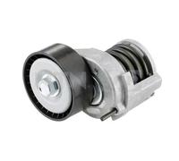 SNR GA357.47 Rullo tenditore cinghia Poly-V