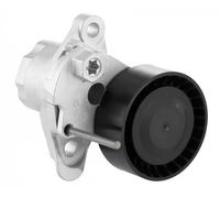 SNR Rullo tenditore cinghia Poly-V