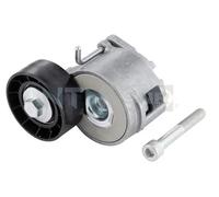 Rullo tenditore cinghia trapezoidale GA358.07 SNR per SAAB FIAT OPEL
