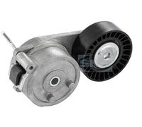 SNR GA358.17 Rullo tenditore cinghia Poly-V