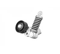 NTN-SNR Rullo tenditore cinghia GA358.71 Poly-V per Citroën, Peugeot