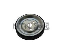 SNR GA359.102 - Rullo tenditore Cinghia Poly-V