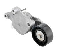 SNR GA359.19 - Rullo tenditore Cinghia Poly-V